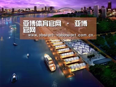 案例展示八