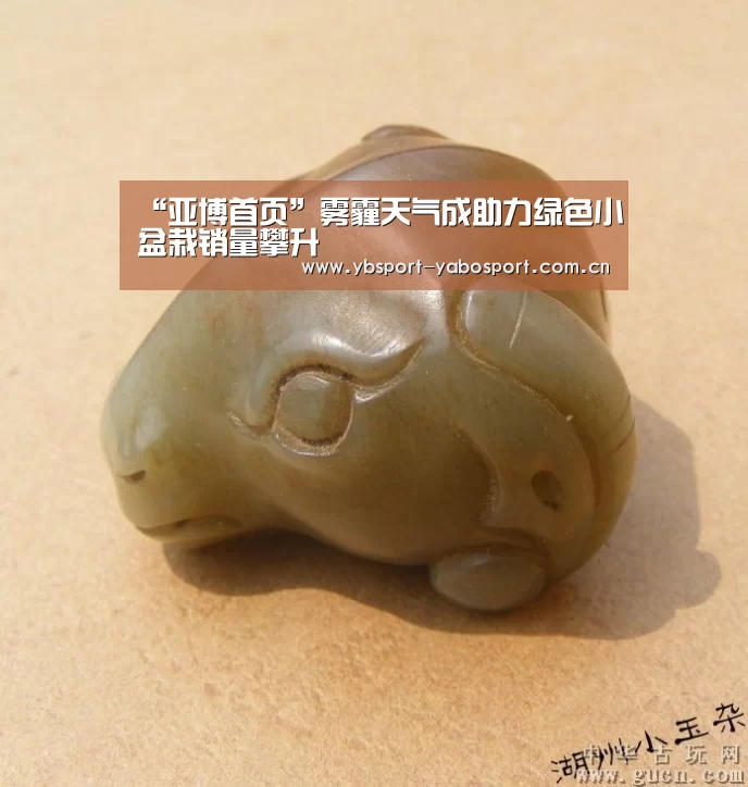 “亚博首页”雾霾天气成助力绿色小盆栽销量攀升(图1) 亚博官网