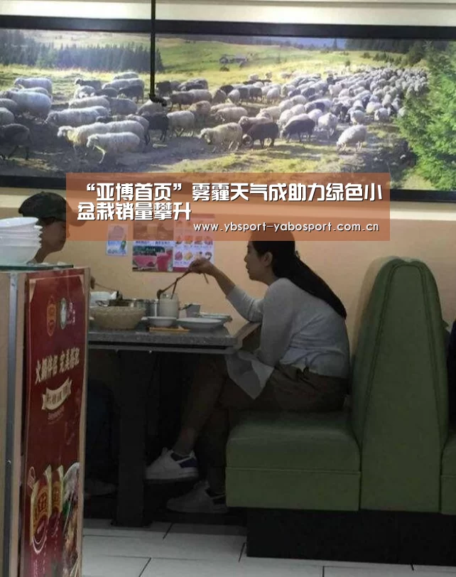 “亚博首页”雾霾天气成助力绿色小盆栽销量攀升(图3) 亚博首页