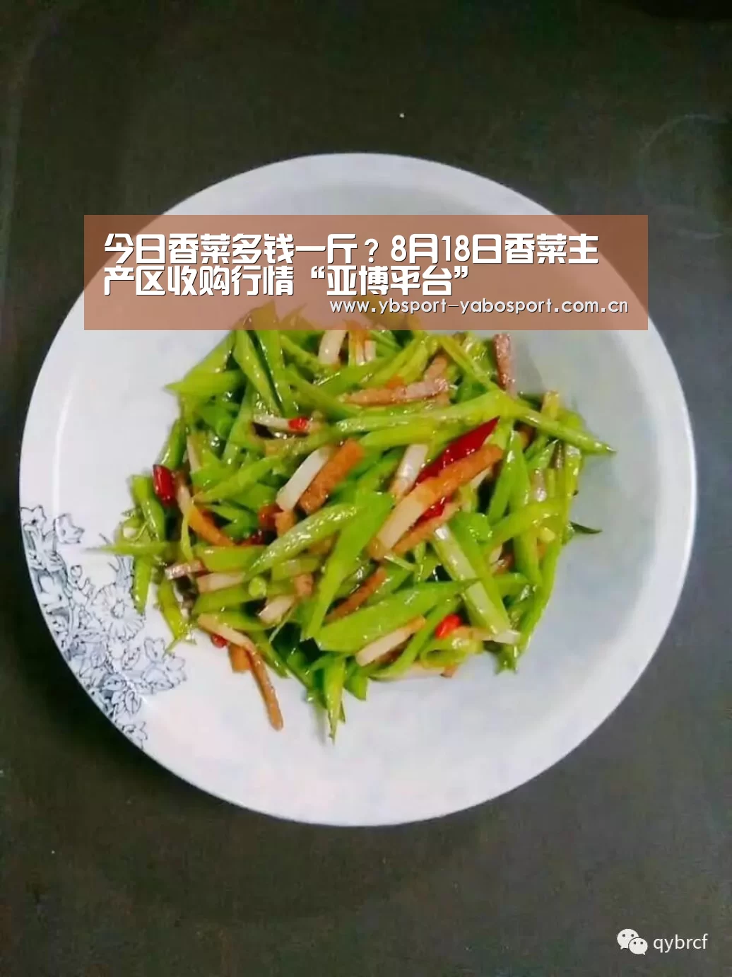今日香菜多钱一斤?8月18日香菜主产区收购行情“亚博平台”(图1) 亚博首页