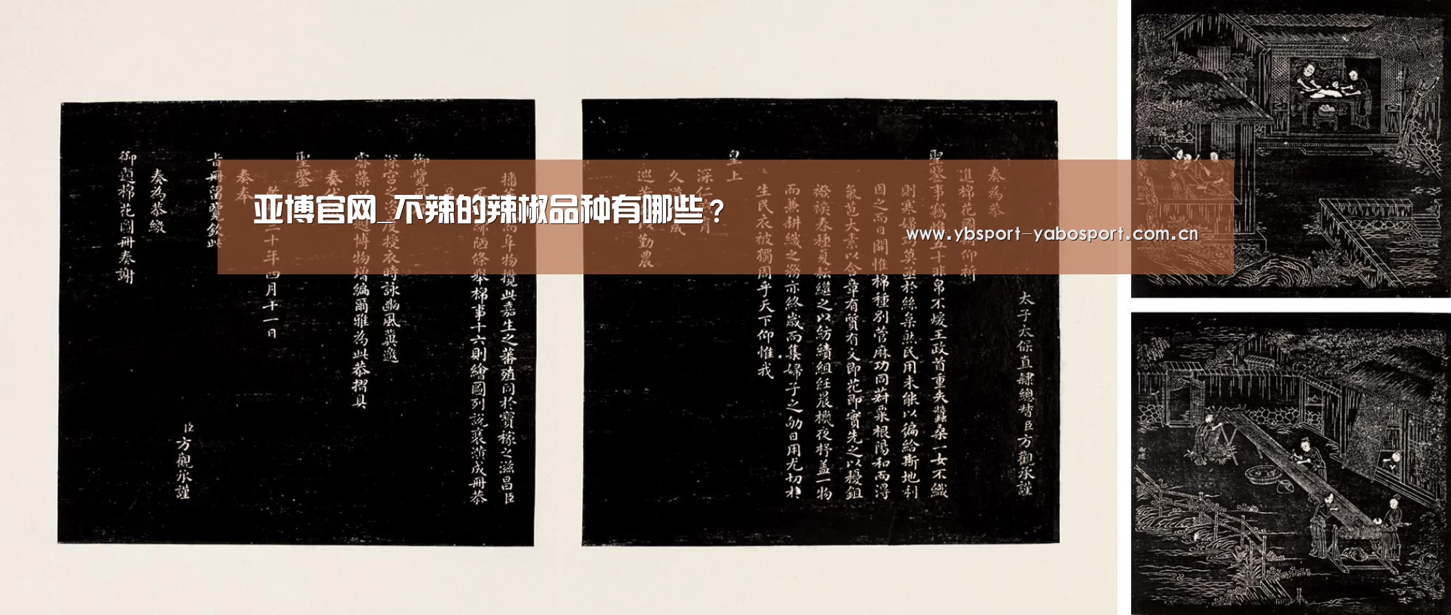 亚博官网_不辣的辣椒品种有哪些?(图2) 亚博平台