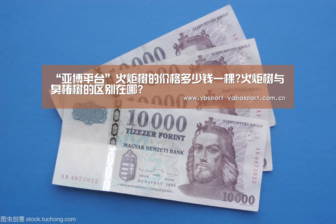 “亚博平台”火炬树的价格多少钱一棵?火炬树与臭椿树的区别在哪?(图1) 亚博首页