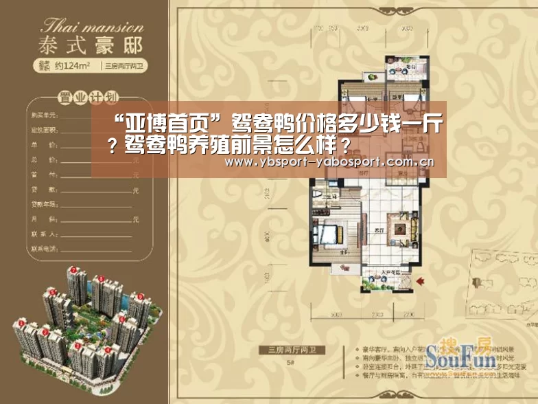 “亚博首页”鸳鸯鸭价格多少钱一斤?鸳鸯鸭养殖前景怎么样?(图1) 亚博官网