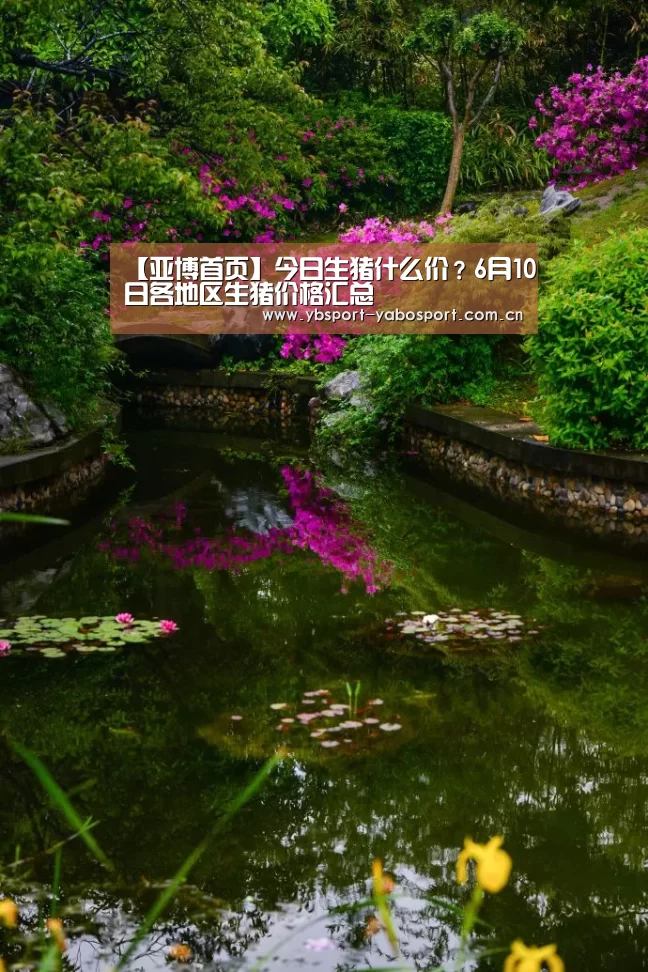 【亚博首页】今日生猪什么价?6月10日各地区生猪价格汇总(图1) 亚博app