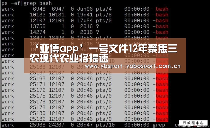 ‘亚博app’一号文件12年聚焦三农现代农业将提速(图2) 亚博首页
