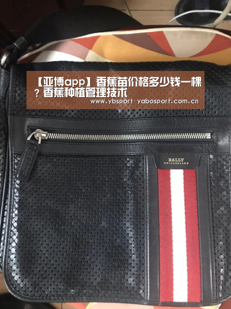 【亚博app】香蕉苗价格多少钱一棵?香蕉种植管理技术(图1) 亚博app