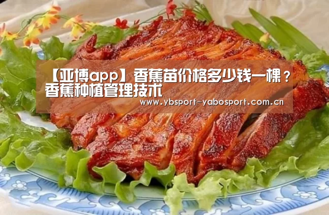 【亚博app】香蕉苗价格多少钱一棵?香蕉种植管理技术(图2) 亚博平台
