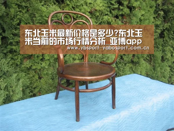 东北玉米最新价格是多少?东北玉米当前的市场行情分析_亚博app