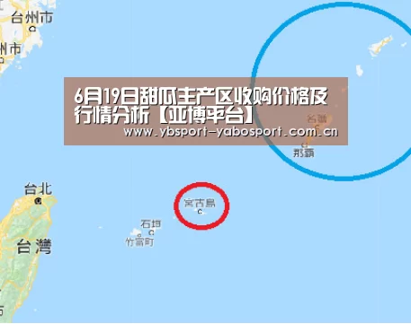 6月19日甜瓜主产区收购价格及行情分析【亚博平台】(图2) 亚博平台